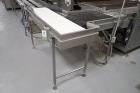 Babbco Direct Fired Tunnel Oven
